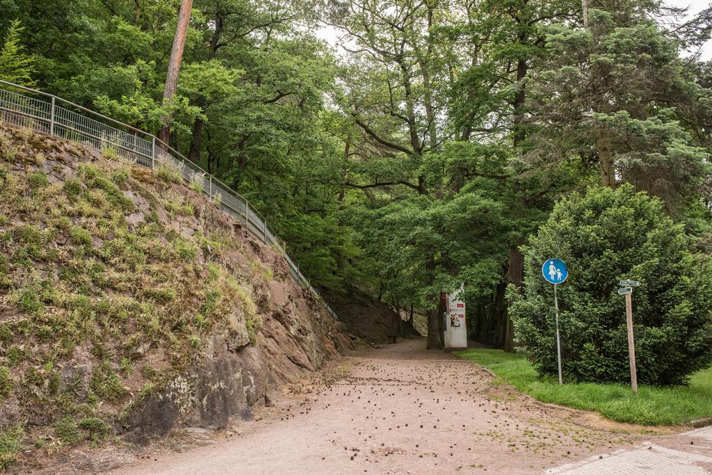 Loftwohnung Mit Sauna - Natur Und Kultur In Eisenach Erleben Und Geniessen Εξωτερικό φωτογραφία